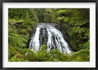 Owharoa Falls, Karangahake Gorge, Waikato, North Island, New Zealand Fine Art Print