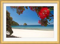 Pohutukawa Tree in Bloom and New Chums Beach, North Island, New Zealand Fine Art Print