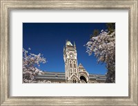 Spring, Clock Tower, Dunedin, South Island, New Zealand (horizontal) Fine Art Print