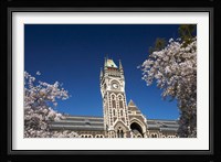 Spring, Clock Tower, Dunedin, South Island, New Zealand (horizontal) Fine Art Print