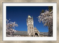 Spring, Clock Tower, Dunedin, South Island, New Zealand (horizontal) Fine Art Print
