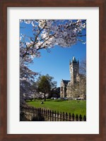 Spring, Clock Tower, Dunedin, South Island, New Zealand (vertical) Fine Art Print