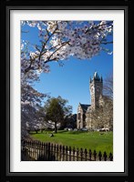 Spring, Clock Tower, Dunedin, South Island, New Zealand (vertical) Fine Art Print