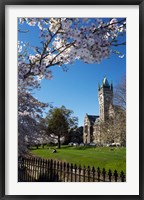 Spring, Clock Tower, Dunedin, South Island, New Zealand (vertical) Fine Art Print