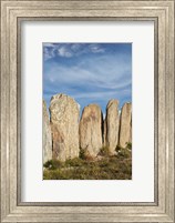 Stone sheep yards, Middlemarch, South Island, New Zealand Fine Art Print