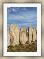Stone sheep yards, Middlemarch, South Island, New Zealand Fine Art Print