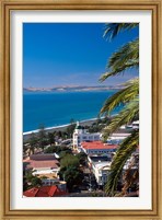 View of Hawke's Bay, Napier, New Zealand Fine Art Print
