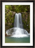 Waiau Waterfall near 309 Road, Coromandel Peninsula, North Island, New Zealand Fine Art Print