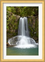 Waiau Waterfall near 309 Road, Coromandel Peninsula, North Island, New Zealand Fine Art Print