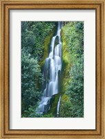 Waterfall, Centennial Gardens, Napier, Hawkes Bay, North Island, New Zealand Fine Art Print