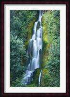 Waterfall, Centennial Gardens, Napier, Hawkes Bay, North Island, New Zealand Fine Art Print