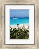 Swimming the waters of Prickly Pear Island with Festiva Sailing Vacations Fine Art Print
