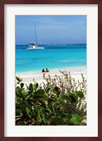 Swimming the waters of Prickly Pear Island with Festiva Sailing Vacations Fine Art Print