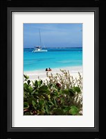 Swimming the waters of Prickly Pear Island with Festiva Sailing Vacations Fine Art Print