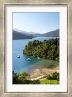Whenuanui, Becks Bay, Marlborough Sounds, South Island, New Zealand Fine Art Print