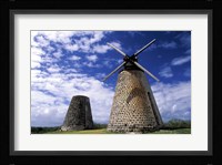 Antigua, Betty's Hope, Suger plant, windmill Fine Art Print