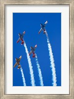 Aerobatic display by North American Harvards, or T-6 Texans, or SNJ, Airshow Fine Art Print