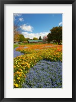 Flower garden, Pollard Park, Blenheim, Marlborough, South Island, New Zealand (vertical) Fine Art Print