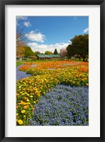 Flower garden, Pollard Park, Blenheim, Marlborough, South Island, New Zealand (vertical) Fine Art Print