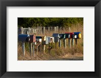 Rural Letterboxes, Otago Peninsula, Dunedin, South Island, New Zealand Fine Art Print