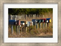 Rural Letterboxes, Otago Peninsula, Dunedin, South Island, New Zealand Fine Art Print