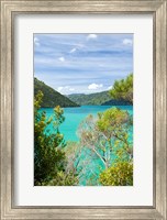New Zealand, South Island, Marlborough, Nydia Bay Fine Art Print