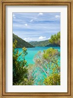 New Zealand, South Island, Marlborough, Nydia Bay Fine Art Print