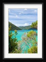 New Zealand, South Island, Marlborough, Nydia Bay Fine Art Print