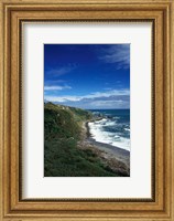 New Zealand, South Island, Cape Foulwind coastline Fine Art Print