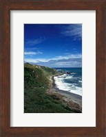 New Zealand, South Island, Cape Foulwind coastline Fine Art Print