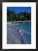 Sonesta Island,  Aruba, Caribbean Fine Art Print