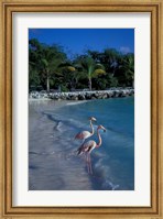 Sonesta Island,  Aruba, Caribbean Fine Art Print