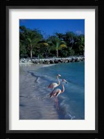 Sonesta Island,  Aruba, Caribbean Fine Art Print