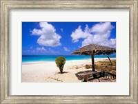 Coco Point Beach, Barbuda, Antigua Fine Art Print