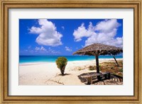 Coco Point Beach, Barbuda, Antigua Fine Art Print