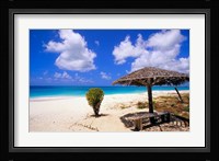 Coco Point Beach, Barbuda, Antigua Fine Art Print