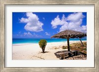 Coco Point Beach, Barbuda, Antigua Fine Art Print