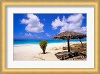 Coco Point Beach, Barbuda, Antigua Fine Art Print