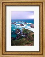 New Zealand, South Island, Nugget Point Fine Art Print