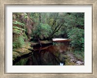 Oparara River, Oparara Basin, New Zealand Fine Art Print