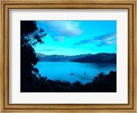 Sailboats at Anchor, Akaroa Peninsula, New Zealand Fine Art Print