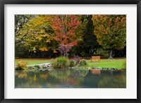 Autumn Color in Hagley Park, Christchurch, Canterbury, New Zealand Fine Art Print