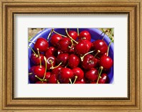 Bucket of cherries, Cromwell, Central Otago, South Island, New Zealand Fine Art Print