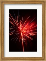 Fireworks Display, Mid-Winter Carnival, Dunedin, New Zealand Fine Art Print