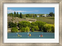 Kayakers and vineyard, Bannockburn Inlet, Lake Dunstan, Central Otago, South Island, New Zealand Fine Art Print