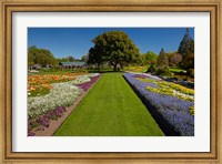 Pollard Park, Blenheim, Marlborough, New Zealand Fine Art Print