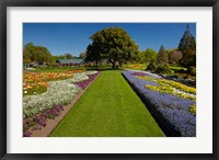 Pollard Park, Blenheim, Marlborough, New Zealand Fine Art Print