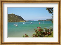 Yachts moored in Waipiro Bay, North Island, New Zealand Fine Art Print