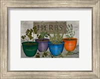 Potted Herbs Fine Art Print