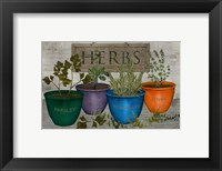 Potted Herbs Fine Art Print
